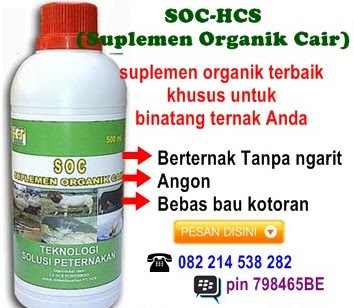 Obat Fermentasi Pakan Ayam 