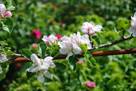 The Lost Gardens of Heligan