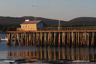 http://juergenroth.photoshelter.com/gallery-image/Maine-and-Acadia-National-Park/G0000DectqkOMEv4/I00001EGgvAKHpI0