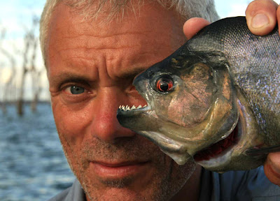 9 Monster Sungai Yang Masih Ada Hingga Saat Ini black piranha situslakalaka 9 Monster Sungai Yang Masih Ada Hingga Saat Ini
