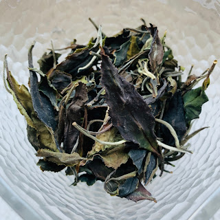 White tea made in Germany