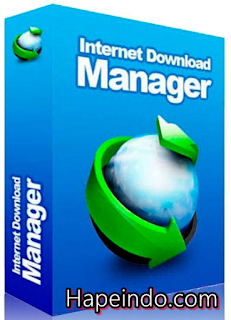 Download Internet Download Manager Full Version