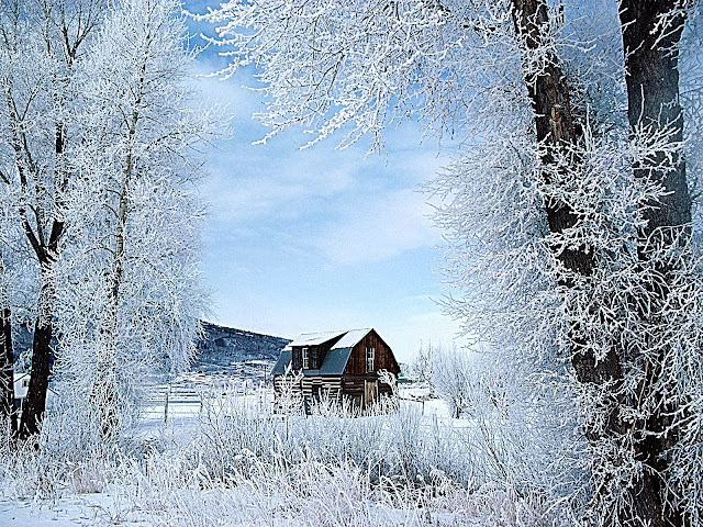 Winter Wonderland, Steamboat Springs, Colorado