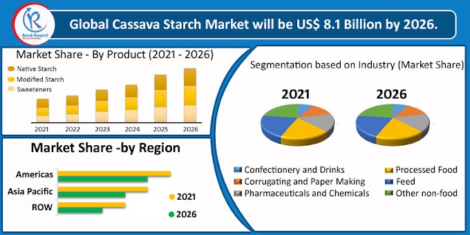 Global Cassava Starch Market, By Consumption, Product, Companies, & Forecast