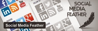 Social Media Feather
