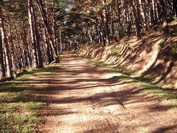 Ruta de Colmenar Viejo al puerto de Cotos. Octubre 2012