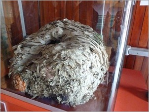 P1100056