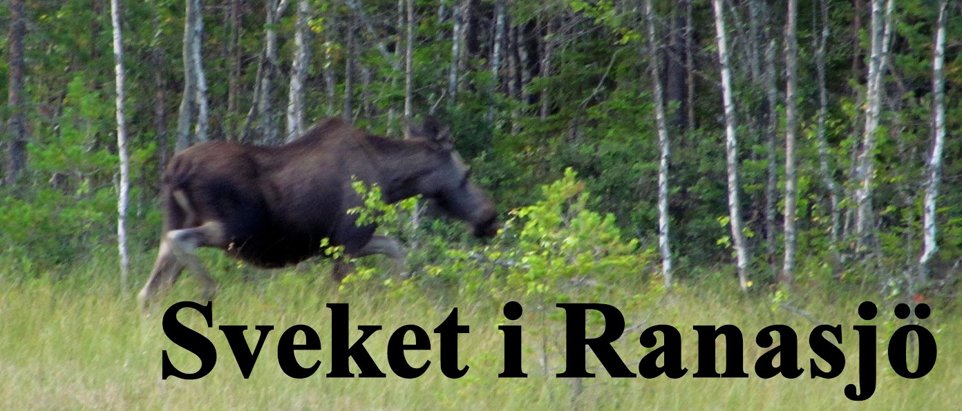 Överklagan avslås