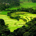 Coorg - Karnataka