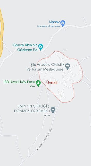 موقع قرية أفيزلي في شيلة اسطنبول على خرائط غوغل