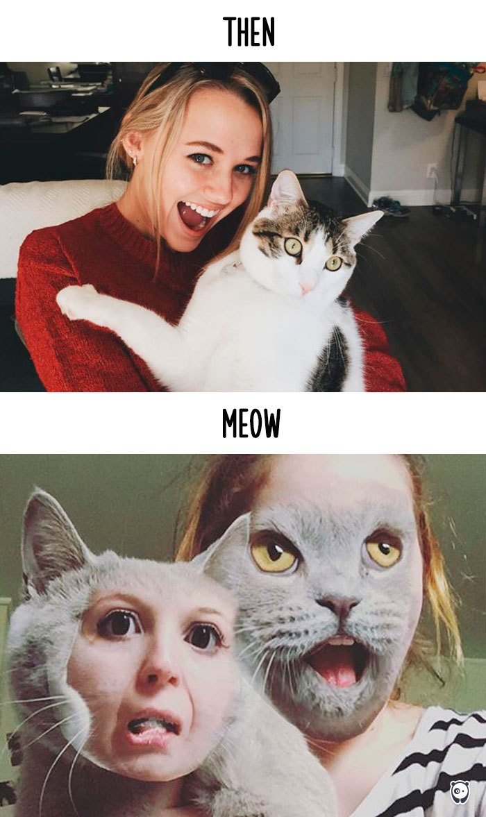 Then vs Meow How Technology Has Changed Cats’ Lives (10+ Pics) - Taking Photos With My Hooman