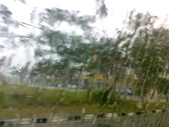 Photo0141