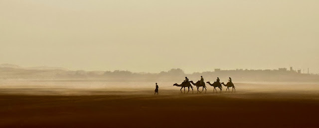 Camel Tour Merzouga