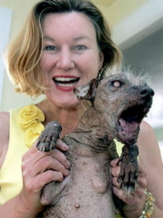 THE WORLDS MOST UGLIEST DOG EVER!