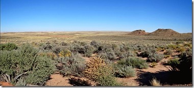 2 pan Homolovi CG 1 at state park