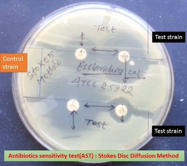 Stokes Disc diffusion method