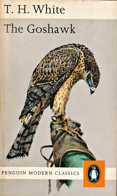 white_goshawk1970_engraving by brodrick