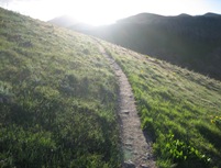 IMG_9698