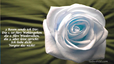 Liebessprüche zum Nachdenken, bilder, rose, love, pic,