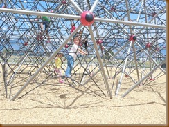 DSCN3649