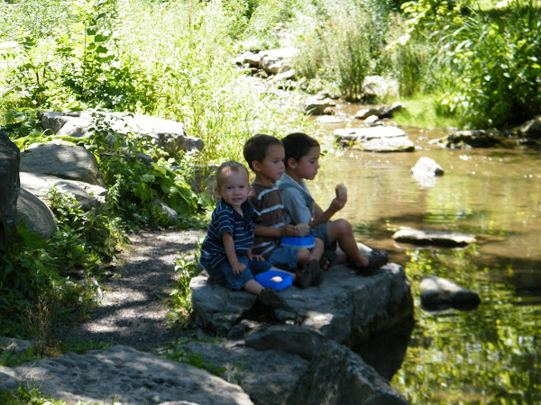 Anniversary Time at Glen Falls