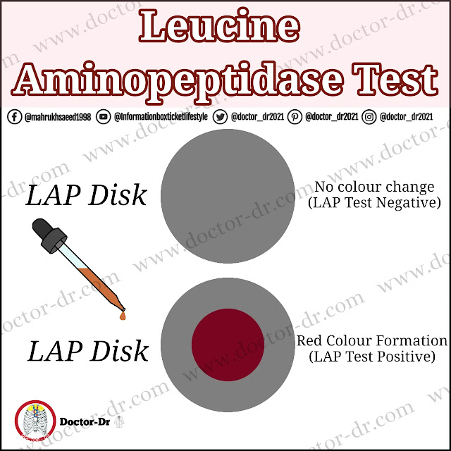 LAP Test: Principle, Method, Results, and Applications