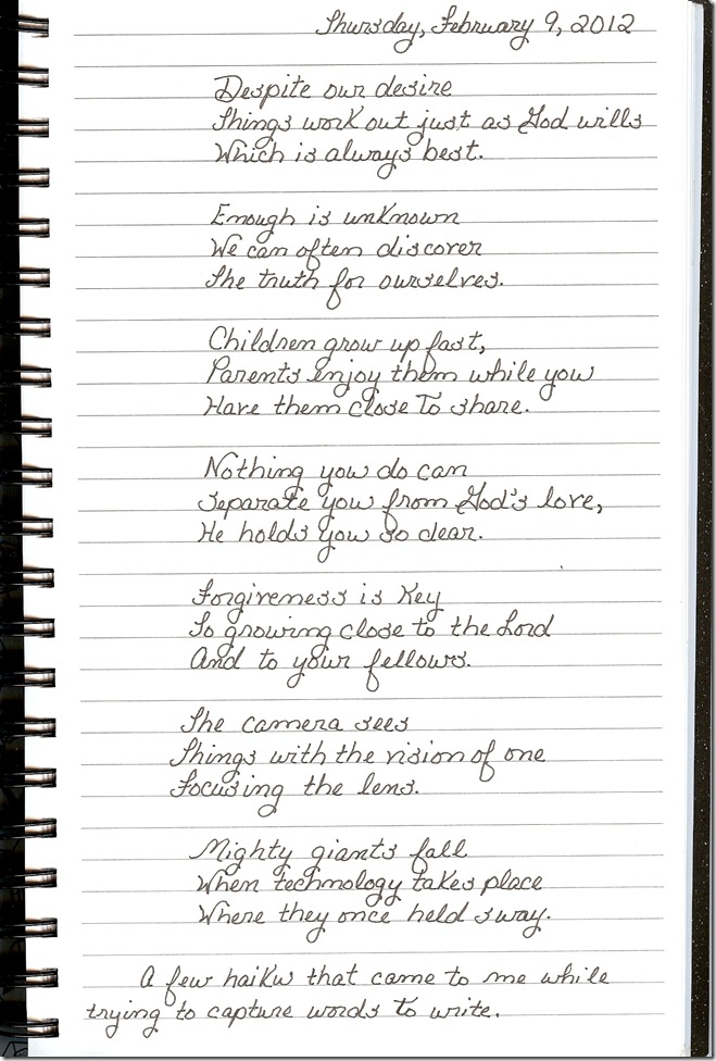 Journal 2-9-20120001