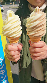 北海道 函館 きくちのソフトクリーム