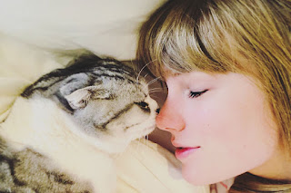 taylor swift with a cat