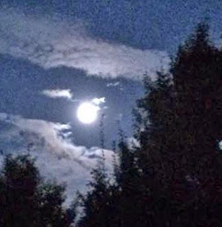 Luna