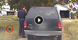 He Was Giving Her A Ticket, But Then This Cat Walks Up To Him And Does THIS. I Laughed So Hard!
