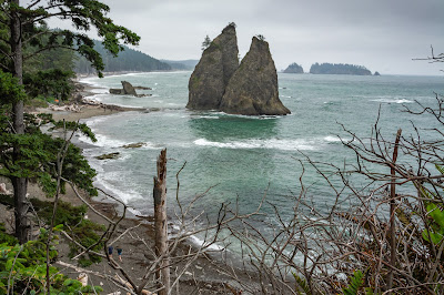 "Shark Teeth" Sea Stacks, Rialto Beach