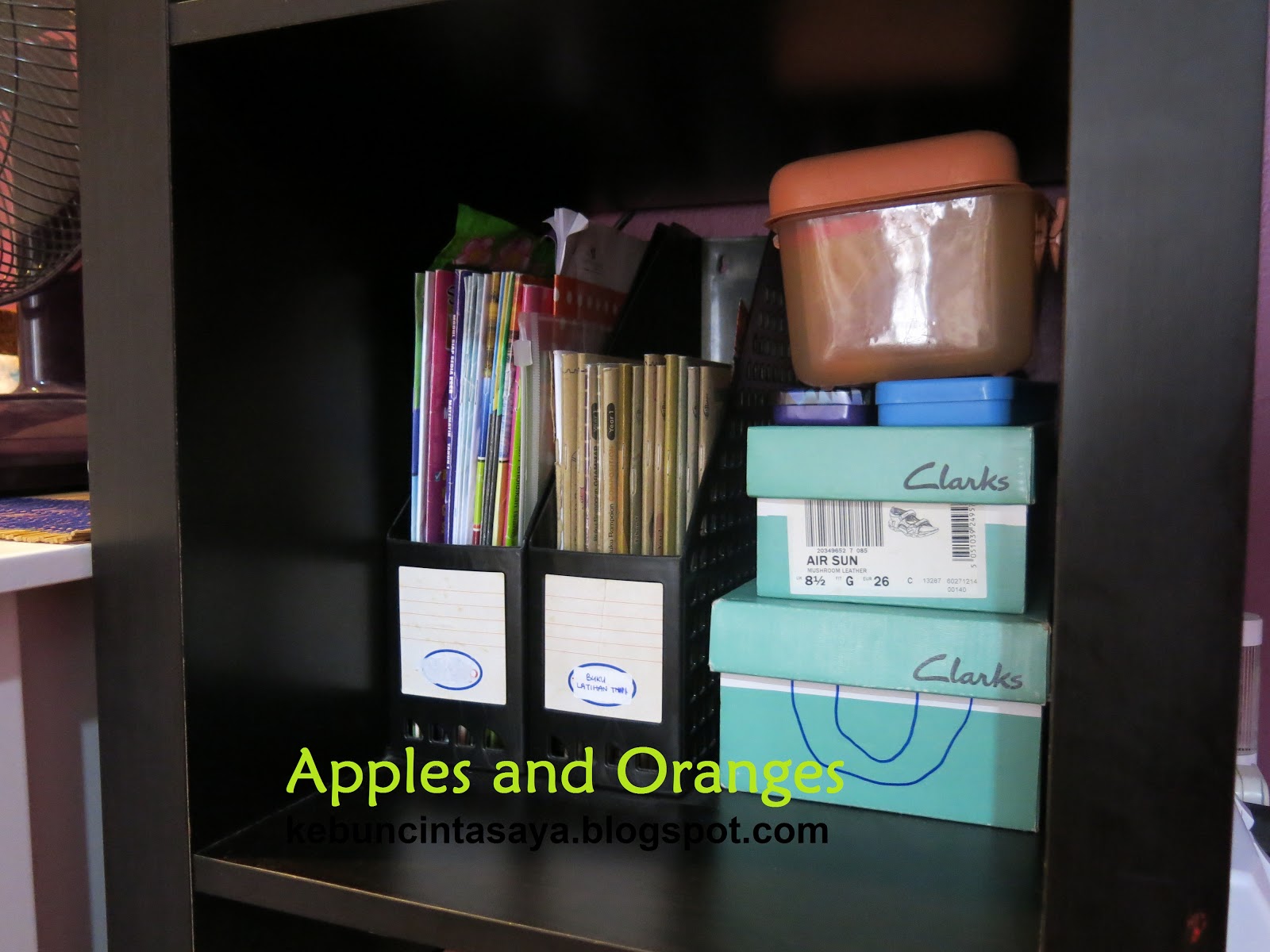 Apples and Oranges Kotak kasut 