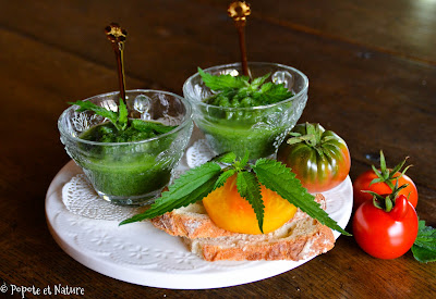 Gaspacho au concombre et aux orties © Popote et Nature