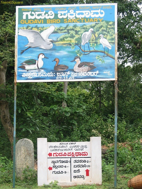 Gudavi Bird Sanctuary, Shimoga