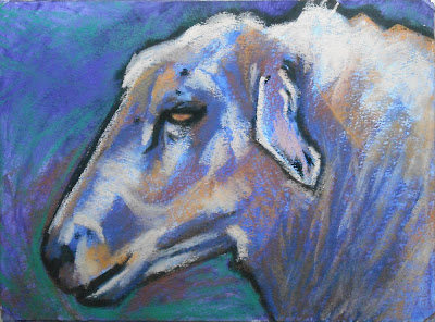 sheep drawing soft pastel artist Janine Aykens