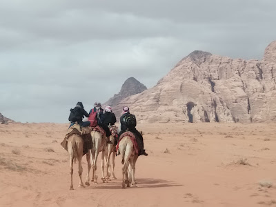 Camel Caravans Travel wadirum Bedouin