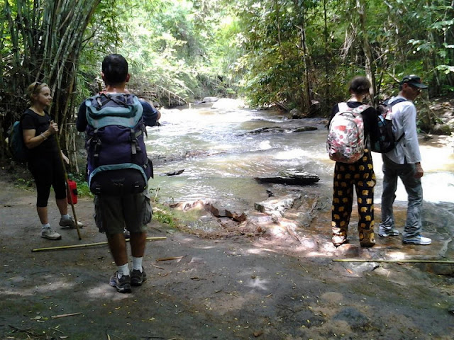 Two-Day Trek at Doi Pha Ngam, trek at doi phan gam, trekking at doi phan gam, 2 days trek at doi phan gam, chiang mai trekking, trekking in chiang mai