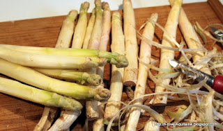 Peeled and unpeeled white asparagus
