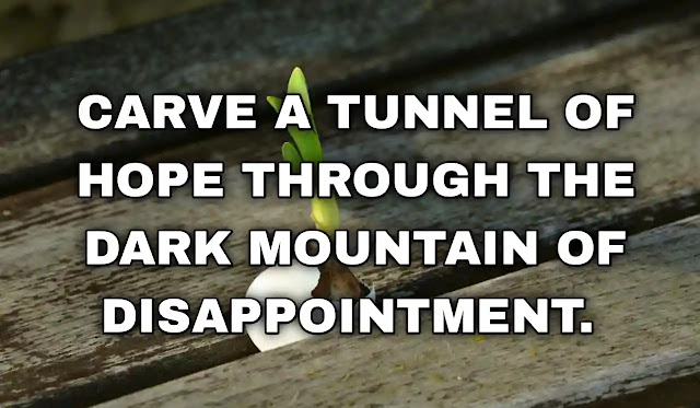 Carve a tunnel of hope through the dark mountain of disappointment.