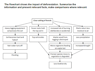 The flowchart shows the impact of deforestation