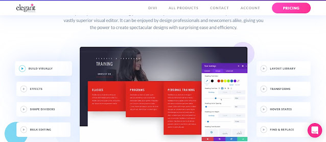 Divi – WordPress Theme