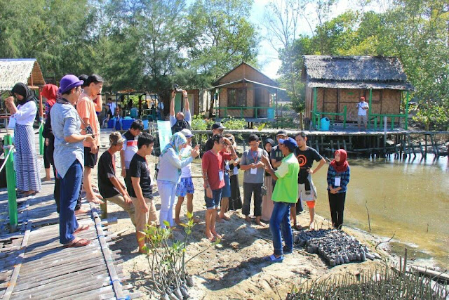 Berwisata ke Pantai Mangrove Bareng Blogger Medan 