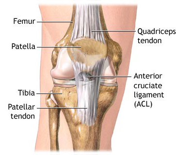 Anterior Cruciate Ligament (ACL) Injury :Causes, Symptoms, Diagnosis, Treatment, Prevention