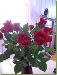 Bloggbilder 003