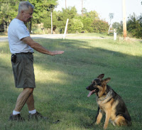 teaching german sheperd to sit