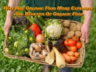 Why Are Organic Food More Expensive And Benefits Of Organic Food