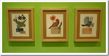 birds