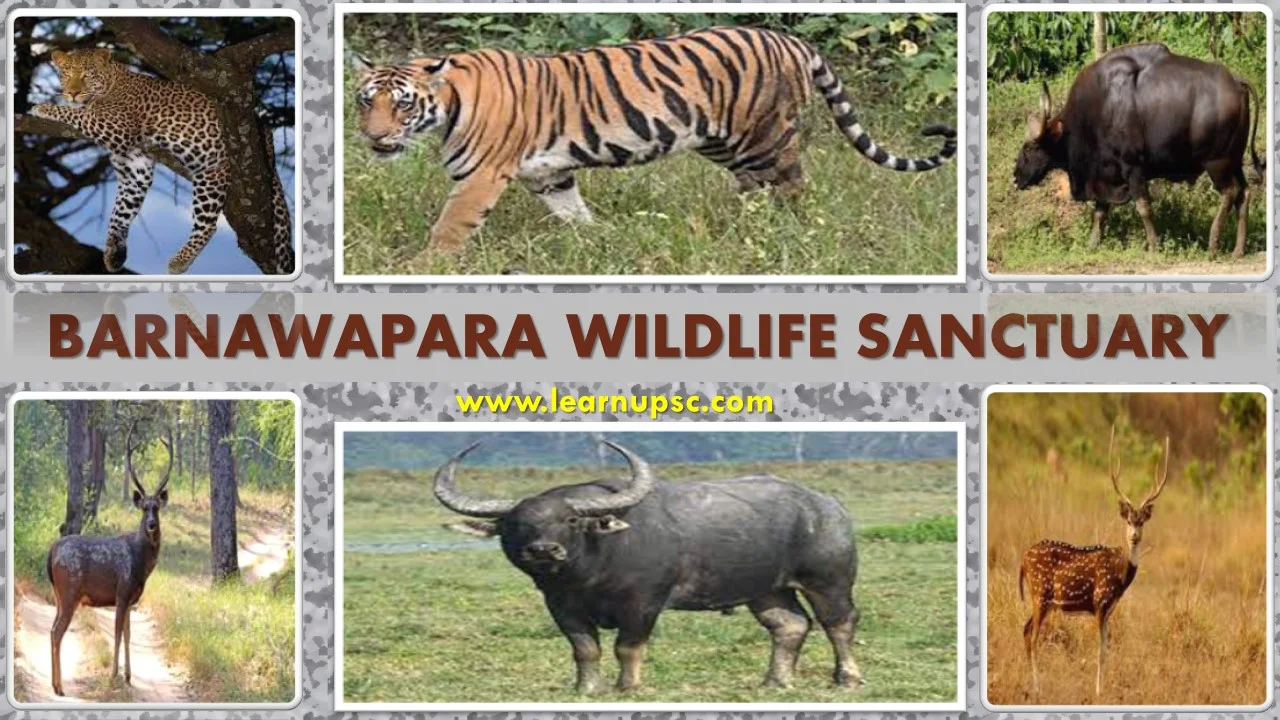 Barnawapara Wildlife Sanctuary