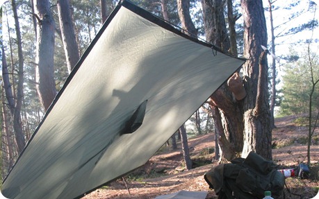 poncho2